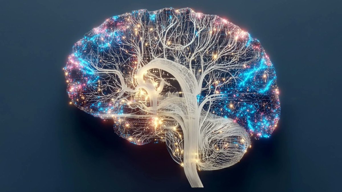 theSciTechGuy's tweet photo. 🚨 Human Brain can solve hardest problems right before sleeping

Research indicates the brain reaches a "creative sweet spot" right before sleep, known as hypnagogia. In this twilight state between wakefulness and sleep, the brain connects unrelated concepts and generates insightful solutions