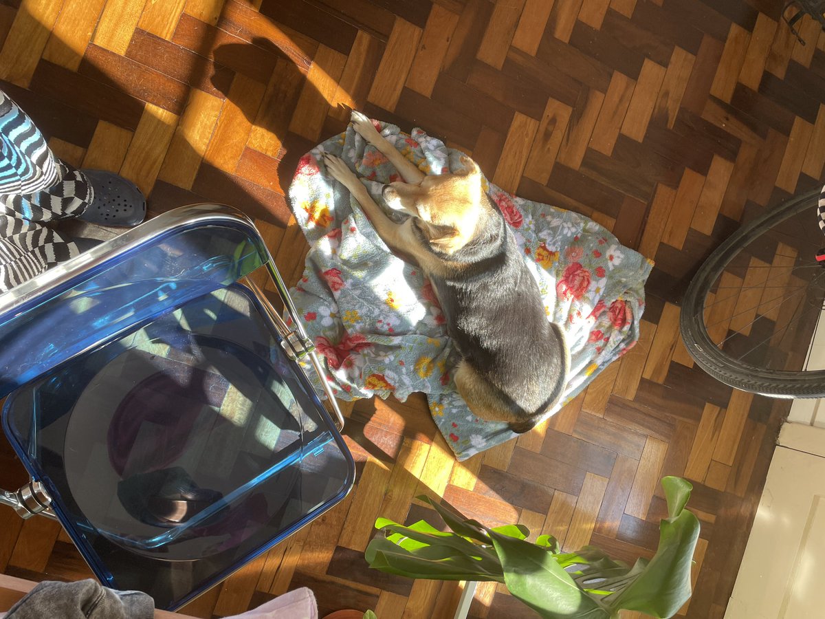 SCHENAA's tweet photo. A vida realmente pode mudar da noite para o dia. 

Não desacredite nisso, nunca! https://t.co/v0kHZUSVlh