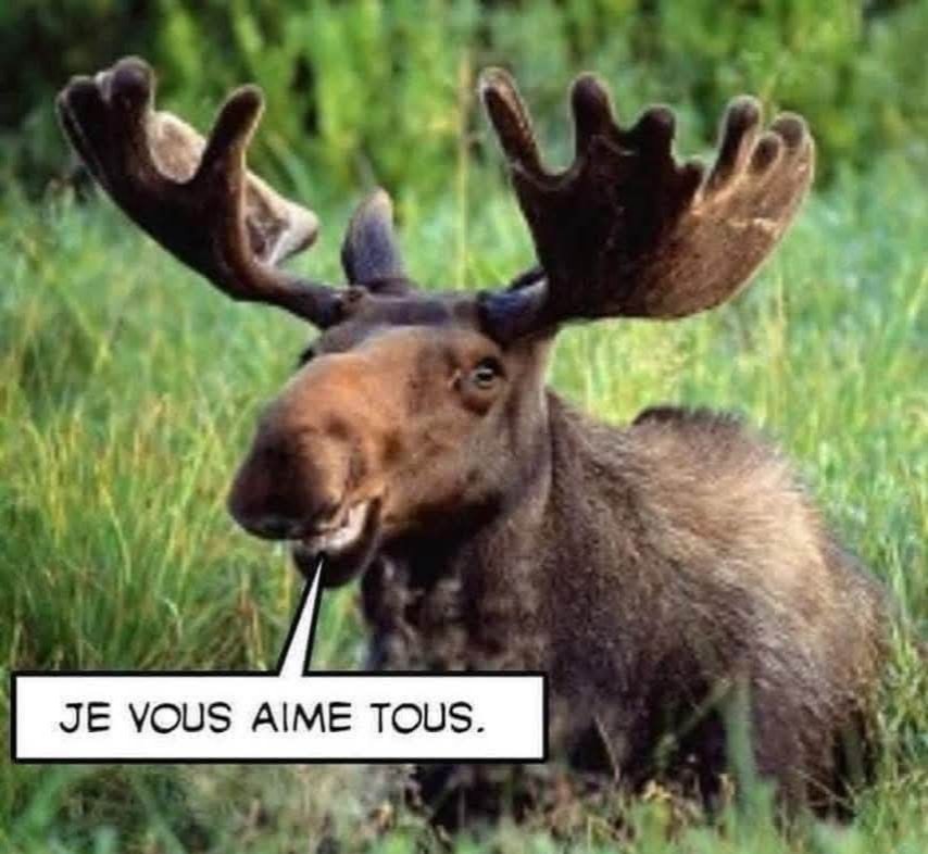 Scie_Riz_Loup's tweet photo. Un p'tit élan de tendresse 😋 https://t.co/DCs6YOZxKp
