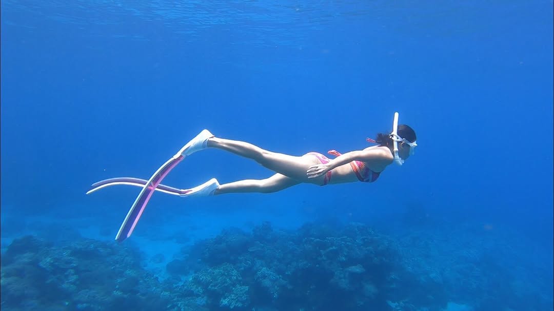 Trayjackson17's tweet photo. A 5:30 AM morning dive. I remember the sheer joy and excitement when the sunlight finally broke through. "Just one more dive"—I tell myself that every time, yet I find myself captivated by this expanse of blue and that touch of light. ✨ Also, a big thank you to A-Ti. https://t.co/5bPBjyVz1v
