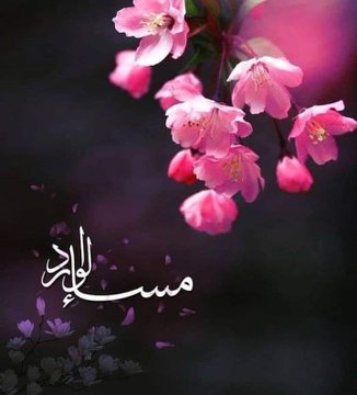 FakerT2026's tweet photo. مساء الخيرات والبركات والسعادة والمحبه https://t.co/YpbBuBkdGJ