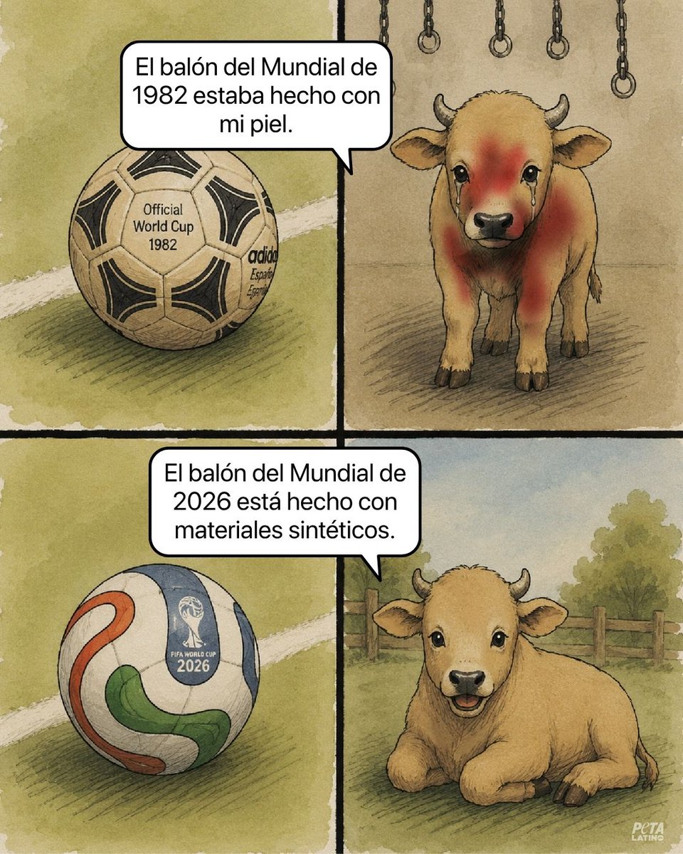 PETA_Latino's tweet photo. Si ya empezó la evolución con el balón de fútbol de la Copa del Mundo, ¿qué esperas para hacer lo mismo con tus zapatos y tus bolsas? ⚽

Anteriormente, los balones de la Copa del Mundo se fabricaban con piel de vaca, pero desde el torneo de México en 1986 han optado por materiales sintéticos. Los tiempos han cambiado, y el deporte puede elegir ahora un camino que no dependa de la crueldad ni del derramamiento de sangre 💚