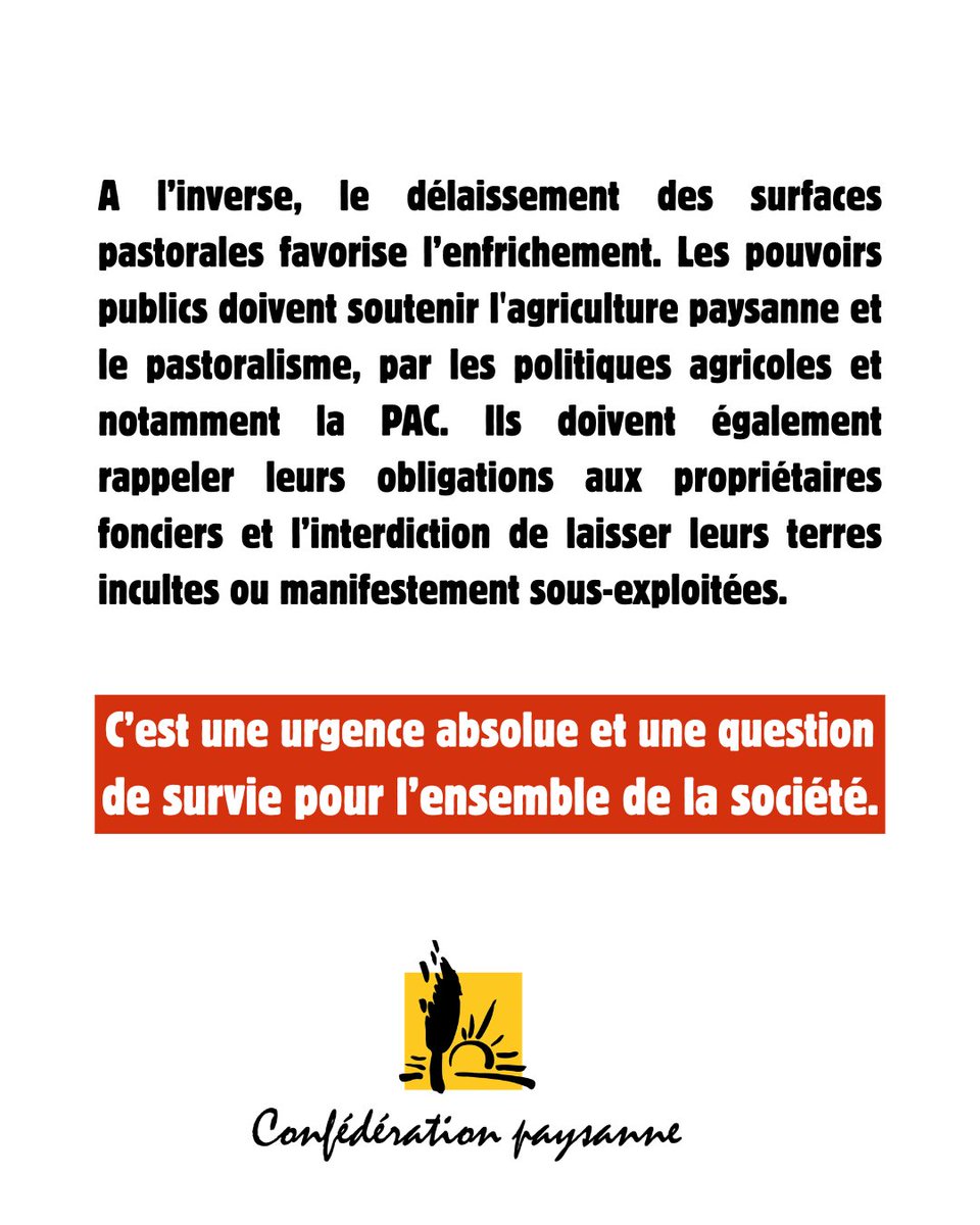ConfPaysanne's tweet photo. 🚨 Incendies : les paysan·nes demandent des moyens pour sauver les fermes et prévenir les feux

Nous constatons avec effroi que plusieurs territoires sont touchés par d’importants incendies, qui affectent particulièrement le monde paysan. 

Retrouvez notre communiqué de presse ⤵️ https://t.co/E4lc42O8fX