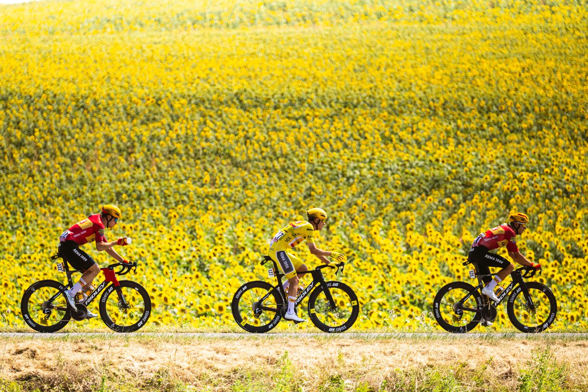 LeTour's tweet photo. 💛💛💛 Tour de France mood 💛💛💛 

#TDF2026 https://t.co/U5CQnYBZF4