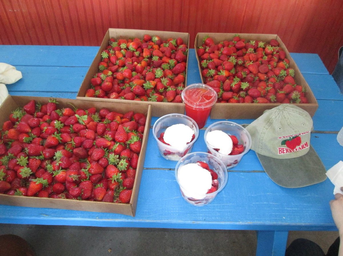 AlysaLiu885's tweet photo. Alysa Liu updated her Instagram less than an hour ago with the caption 🍓
#AlysaLiu #FigureSkating #InstagramUpdate #Strawberry #SkaterLife https://t.co/ZNHgXnSU0l