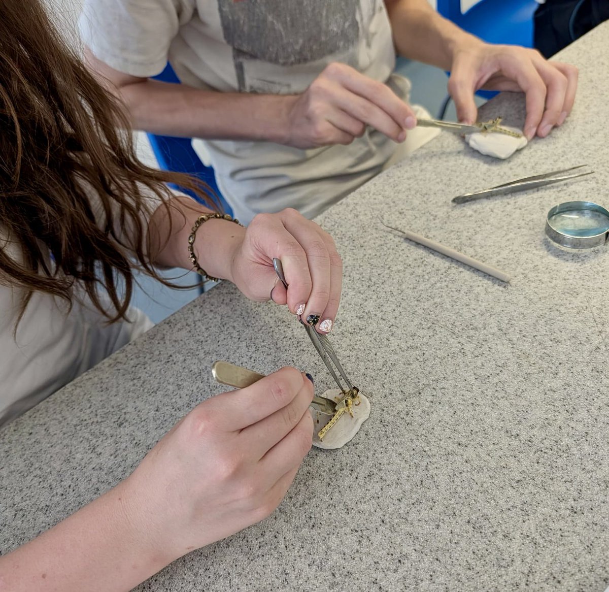 OrielHighSchool's tweet photo. Y12 Biology: 2days: One counting 400 daisies in a field, & the other trying not to make eye contact with a locust. Well actually our biologists were investigating the gas exchange system of an insect by locust dissection π¬π¦πΎπ¦ #CorePracticals #OrielScience #TeamBiology https://t.co/OXaDRhF5RP
