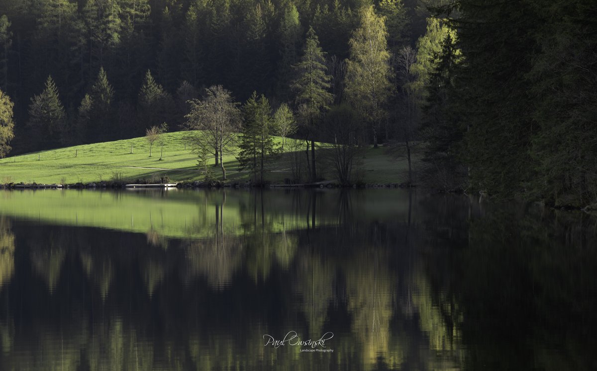 PhotographPaul tweet picture