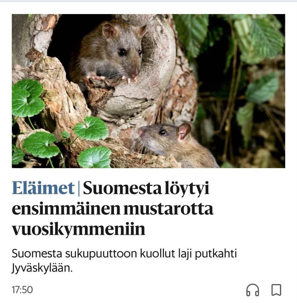 PetriSuur's tweet photo. Tervetuloa takaisin paiserutto
#tiede
#terveys
#rutto
#rotta https://t.co/xVGLsgHD4E