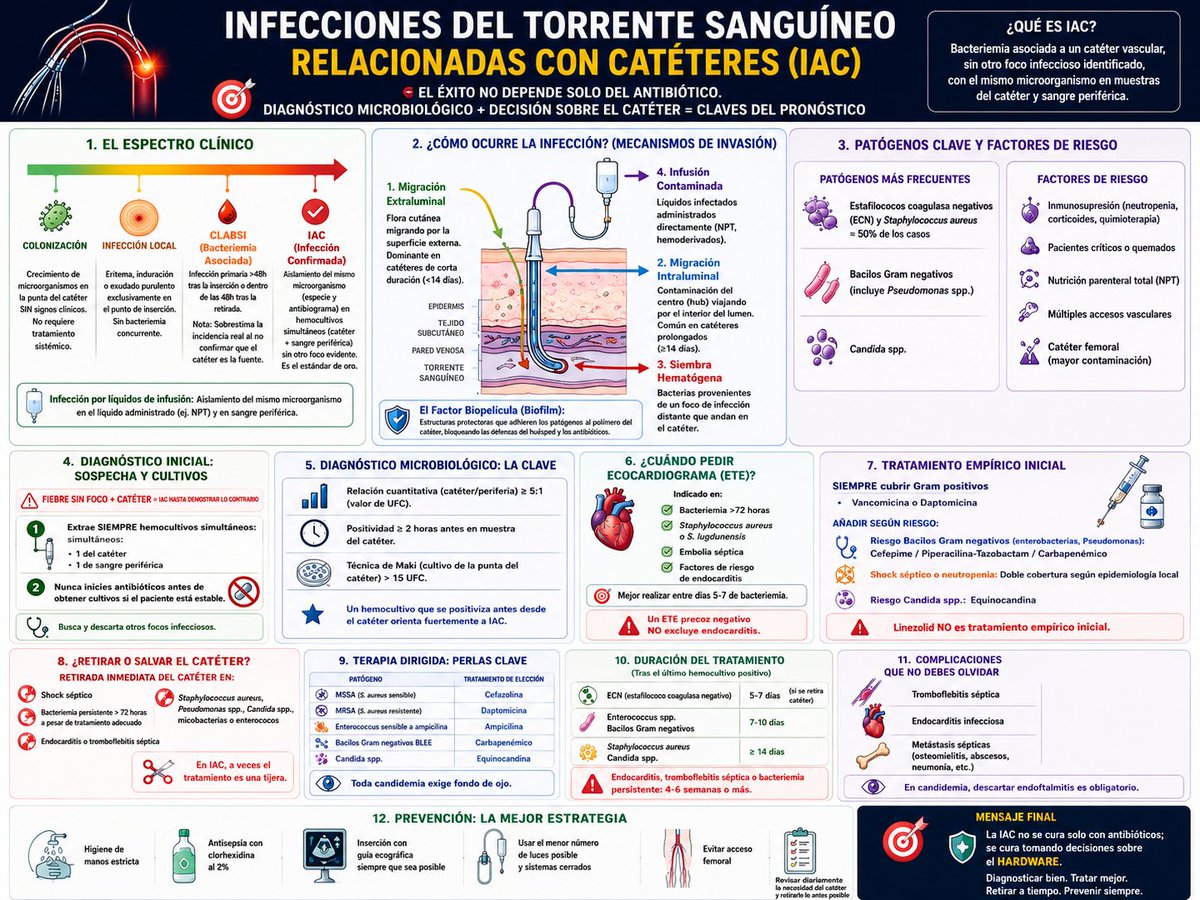 Gabriel Puche, MD/PhD tweet media