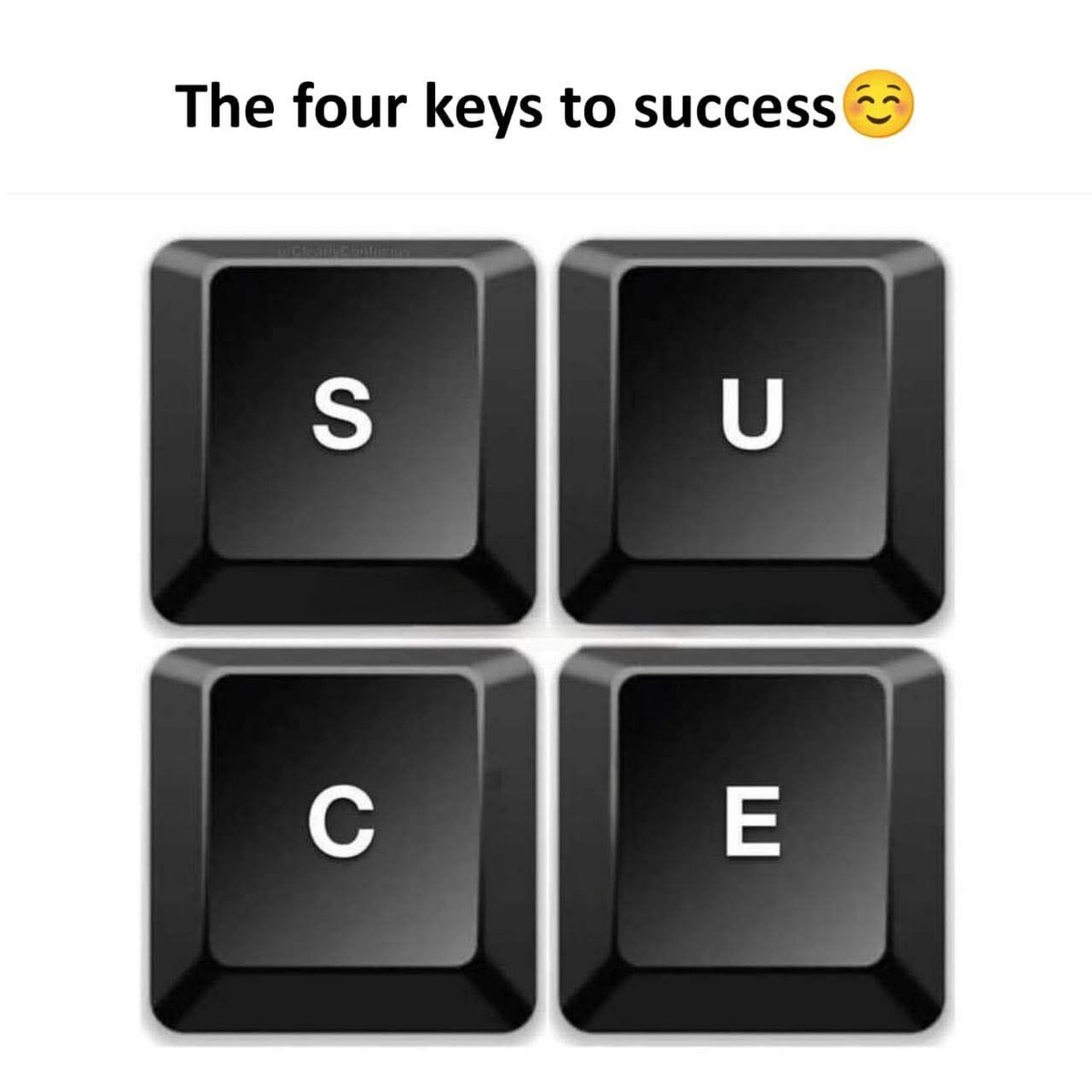 WholesomeMeme's tweet photo. https://t.co/EegD9O0Vxh