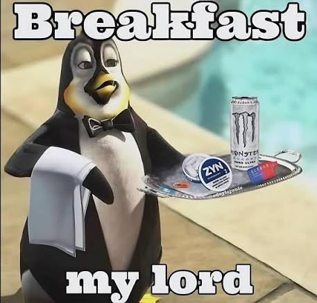 RobinhoodZyn's tweet photo. A balanced breakfast is the key to success https://t.co/O8jg66t2mO