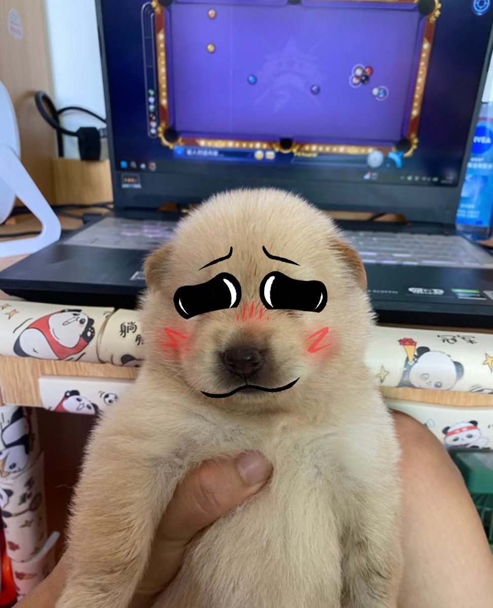 PitersonKurt's tweet photo. Doin dis to gay oomf https://t.co/DCbULvXsaJ