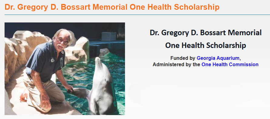 OneHealthUofG's tweet photo. Applications due July 31 for the Dr. Gregory D. Bossart Memorial One Health Scholarship!

This $5,000 (US) Scholarship is available to a grad student doing research in wildlife biology, epidemiology, public health etc. using a One Health framework: https://t.co/YFPMSDx8ih https://t.co/H3HrNqcssQ