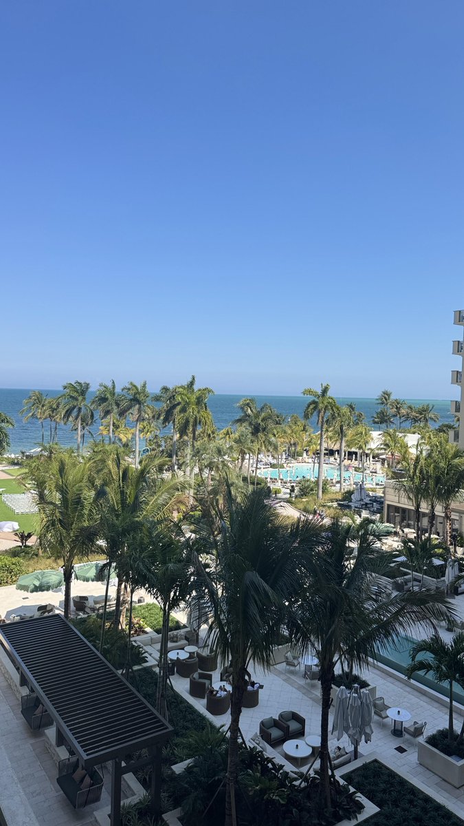 Lakshmidwf's tweet photo. I opened the window and it was so beautiful outside! https://t.co/yaVDKKre0G
