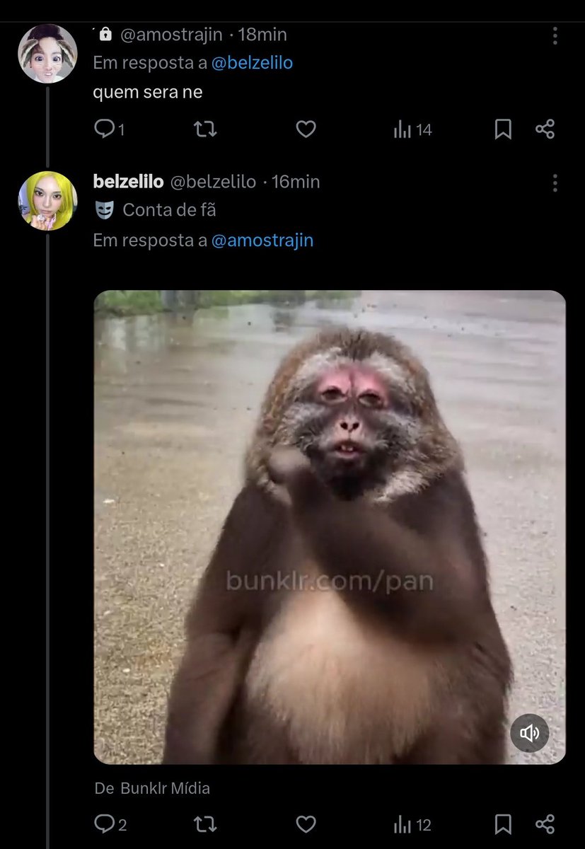 biba tweet media
