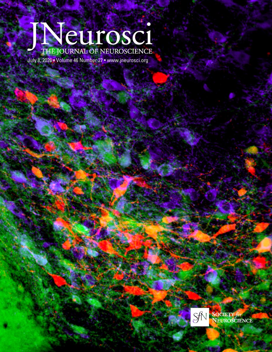 SfNJournals's tweet photo. This Week in The Journal #JNeurosci | Exploring How Nanoparticles Promote Spinal Cord Recovery; How the Hippocampus Supports Item Classification
https://t.co/WPzCSyBySQ https://t.co/RwGujpSSqz