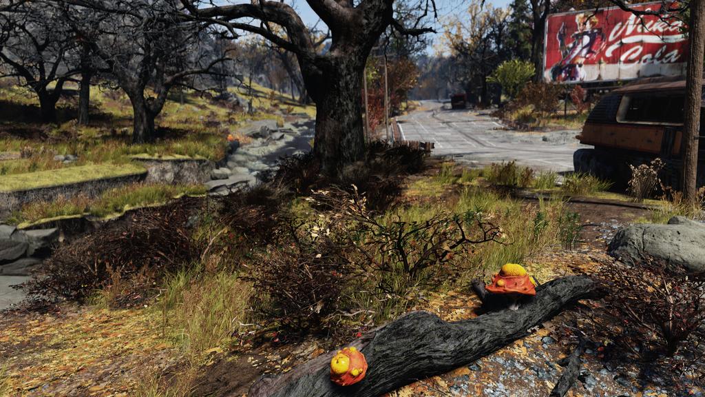 kaoriddle's tweet photo. ファイアキャップはスローカムズ・ジョーの周辺で終われてラッキー🍄
 #Fallout76 https://t.co/0yePZVNmxV