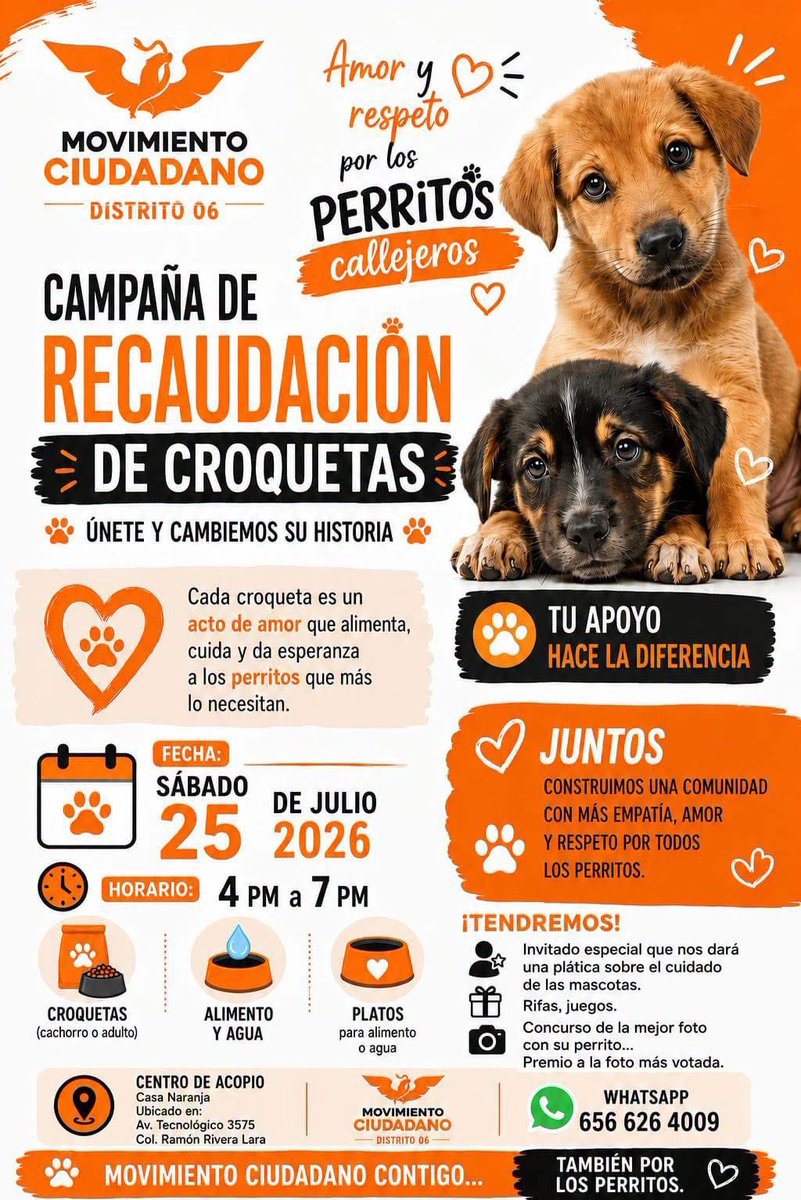 paradagasson's tweet photo. 🟠 Hagamos causa con los animalitos que se encuentran en situación vulnerable 🐶🐱 
💪🍊🤠
Los invitamos a ser solidarios y realizar sus donativos de croquetas de todo tipo.

#Perritos #hagamoscausa #solidaridad #ciudadjuarez #juarezchihuahua #Juarez #juliovallesillo #comunidad https://t.co/4fOnM23KUD