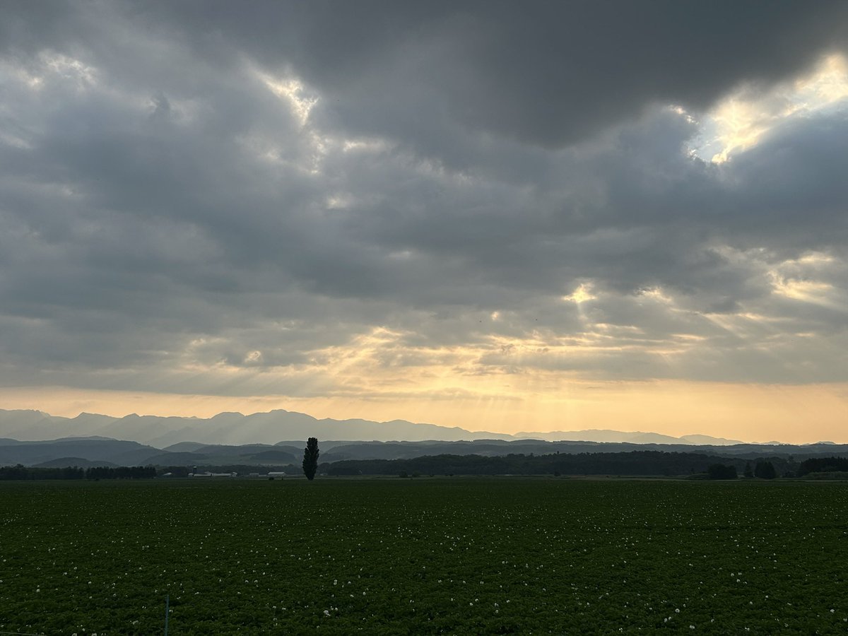 kyoshodo's tweet photo. 北海道の空。
富良野、石狩昼間、石狩日の入り、石狩日暮れ後。

今いる所よりも遠くに光の射す場所がある前向きにさせてくれる空です。
4枚目は、火が沈んだ後の空。
それでもまだ陽を照らしてくれて道案内してくれてるように感じます。
いつも、ええ事考えて進んでいきたい☺️ https://t.co/XeyvM406yE