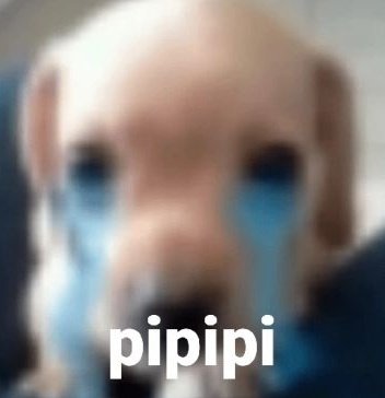 riuspie's tweet photo. se pá nunca mais vou topar com um pé de jamelão na minha vida e a culpa é de quem mandou derrubar o ÚNICO que tinha aqui perto de casa acabaram com minha vida nunca mais eu comi jamelão https://t.co/91QXvQ0leJ