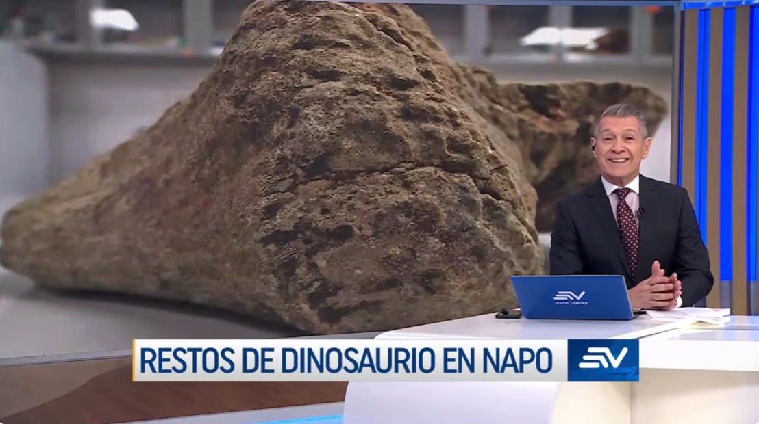 u_ikiam's tweet photo. 🦕🌿 ¡La ciencia que nace en Ikiam sigue llegando a todo el país!

Ecuavisa destacó el descubrimiento del primer dinosaurio registrado en la Cuenca Oriente del Ecuador, una investigación liderada por docentes e investigadores de la Universidad Regional Amazónica Ikiam, en colaboración con la Fundación Azara (Argentina) y la comunidad de Venecia–Misahuallí.

Este importante estudio, publicado en una revista científica Q1, revela la existencia de un saurópodo titanosaurio que habitó la Amazonía hace aproximadamente 67 millones de años y resalta el enorme valor paleontológico de nuestro territorio.

Noticia de Ecuavisa:
https://t.co/41ZLSRFMuZ

🔗 Conoce la publicación científica aquí:
https://t.co/NXebDGmDRh

🔗 Conoce un resumen aquí:
https://t.co/5KWkH8vfZe

#SomosIkiam #Investigación #Ciencia #Amazonía #Paleontología #Dinosaurios