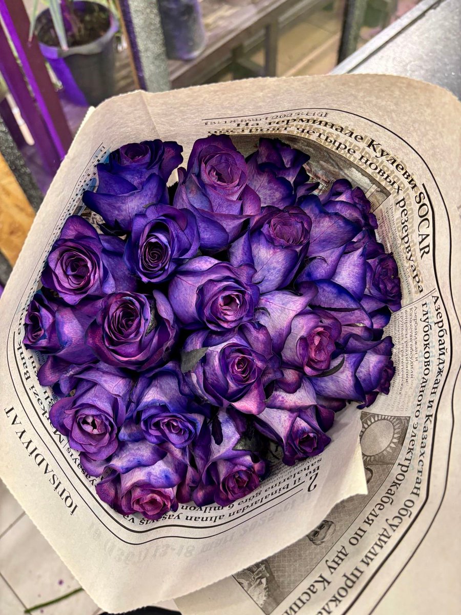 armyflowershop's tweet photo. 💜🫂💜💐💜🫰🫰💜💐💜🫂💜
             𝐹𝓁𝑜𝓌𝑒𝓇 𝒟𝑒𝓁𝒾𝓋𝑒𝓇𝓎

𝐹𝑜𝓇: #BTSARMY

𝐹𝓇𝑜𝓂: Anon

𝑀𝑒𝓈𝓈𝒶𝑔𝑒: HAPPY ARMY Day 💜🎂🎉💜 
Happy 13th anniversary! 💜

💜🫂💜💐💜🫰🫰💜💐💜🫂💜 https://t.co/SyMn3WUs87