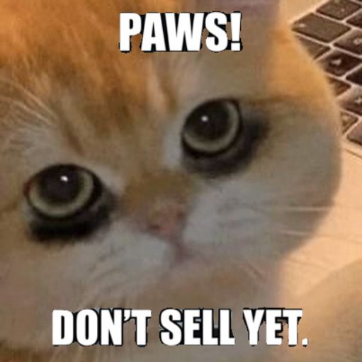 Dwane400's tweet photo. HODL is the major assignment given by the #Starecat. https://t.co/VhkGRtHjBA