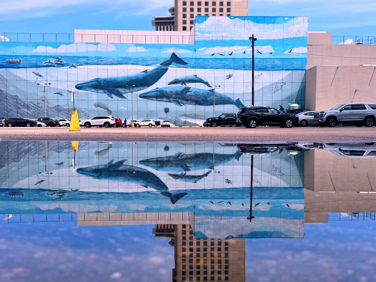 DavidMora's tweet photo. Reflections from the Riverwalk parking lot  🐋💦 https://t.co/I3gGr1QDfn
