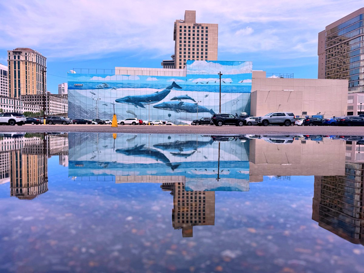DavidMora's tweet photo. Reflections from the Riverwalk parking lot  🐋💦 https://t.co/I3gGr1QDfn