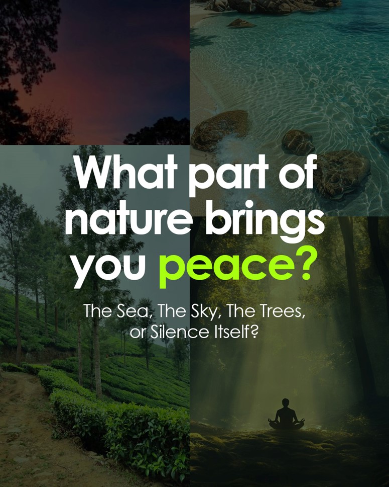 PeterLynch85302's tweet photo. Is it the ocean?
The mountains?
A quiet path?
Rain?
Trees?
Nature heals in countless ways. Your answer might be the reminder someone needs today.
https://t.co/hC0Jt8T6zM
#NatureSpeaks #SpiritualBooks #PoetryCommunity #EcoSpirituality #ReadMoreBooks https://t.co/wKoVRqiabn