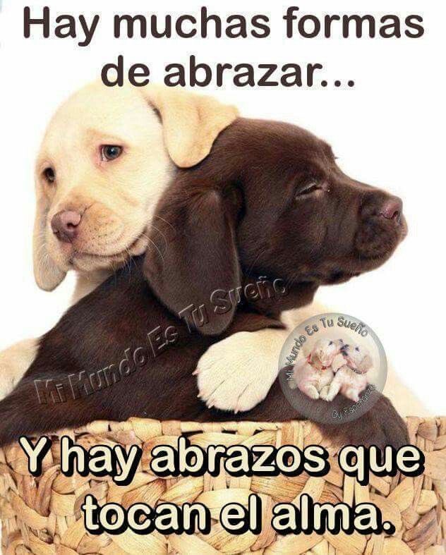 coolfunnnn's tweet photo. que hermoso… (estoy muy deprimido) https://t.co/MTsoyk9lOW