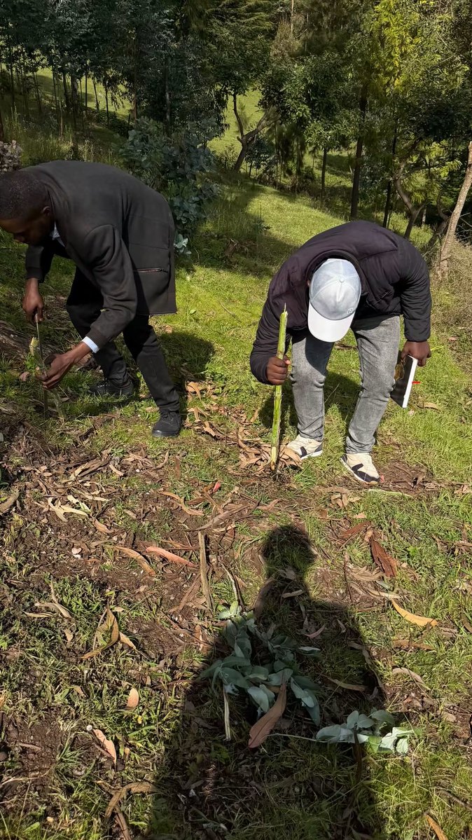 iamalexkamau's tweet photo. Today I took my architect @DESIGN_FOURTEEN to Kipipiri for concept design for my cabin, drove around the Aberdares and had a latte https://t.co/Jugcrq11bh