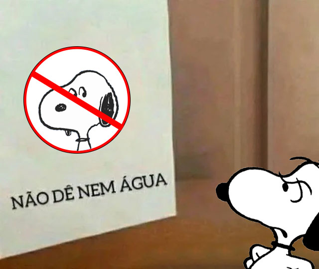 esnupicore's tweet photo. nao merece nem bom dia quem dirá água https://t.co/XKwUSIYm6g