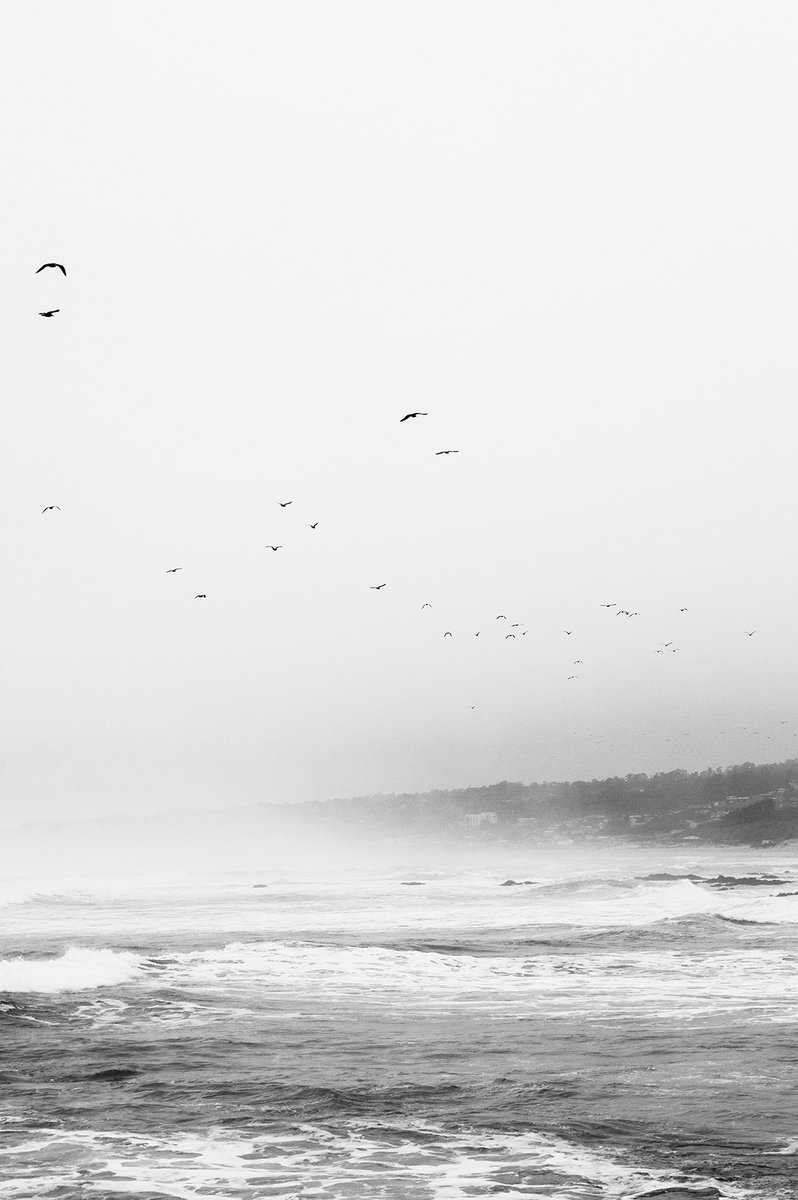 EstebanAmaroArt's tweet photo. Gm

“Litoral de los Poetas 162”

An unminted photograph from this series https://t.co/Msieff5MgH