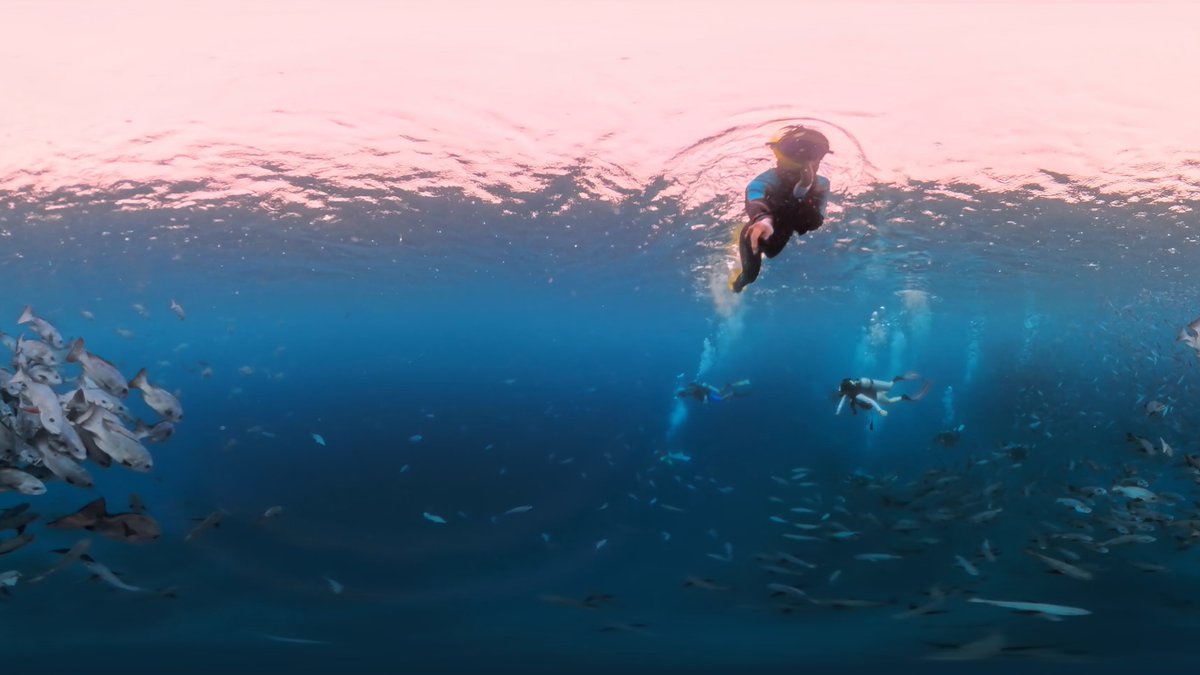 goehrian's tweet photo. Just tried the new ocean-themed VR snorkel sim—felt like I was gliding with sea turtles in the Great Barrier Reef, no travel needed. Wild how tech turns daydreams into 100% immersive realness. https://t.co/la645Fgr8N