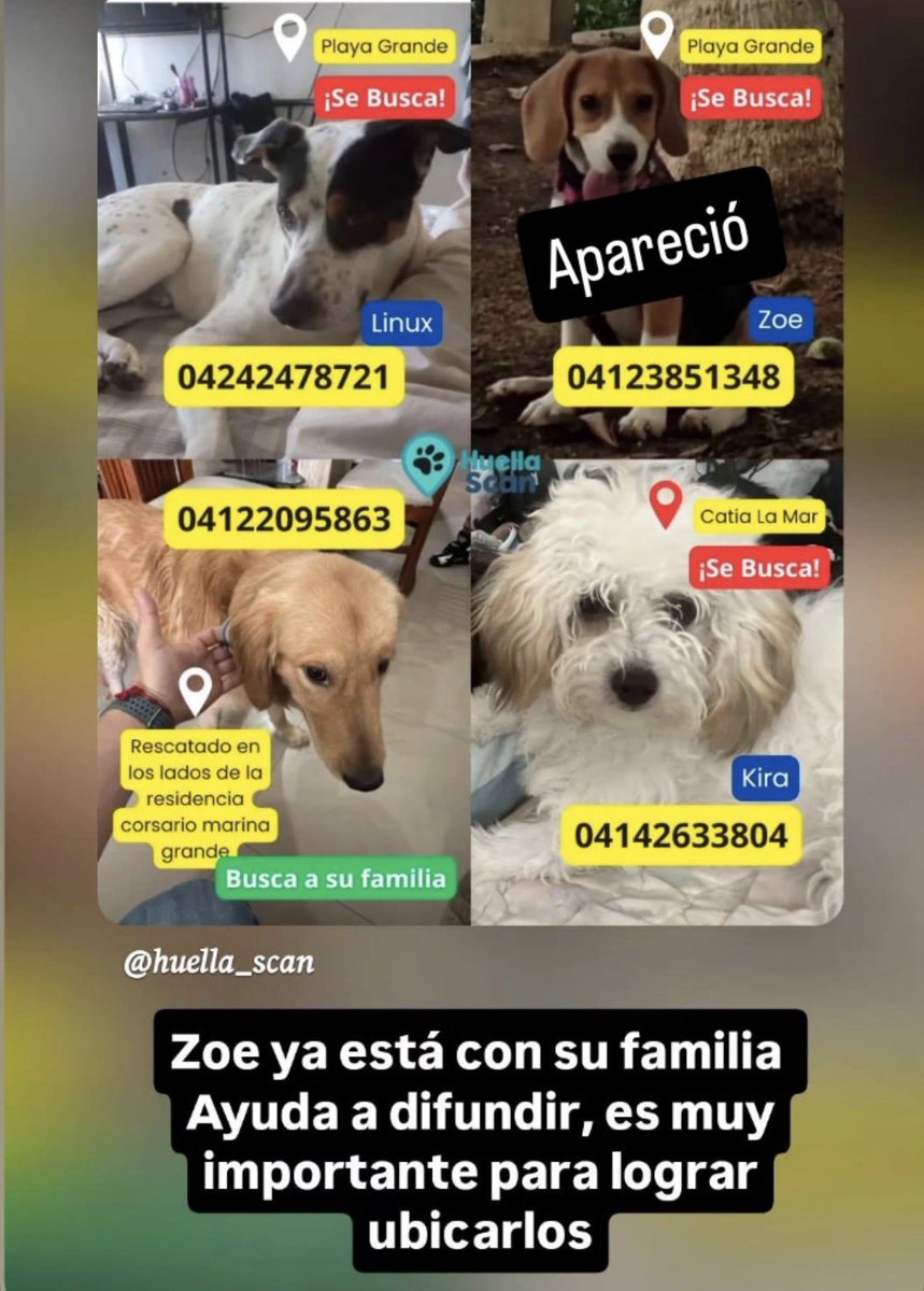 shelovscam's tweet photo. #ATENCIÓN ‼️‼️‼️ se busca https://t.co/JUnXBqwjux