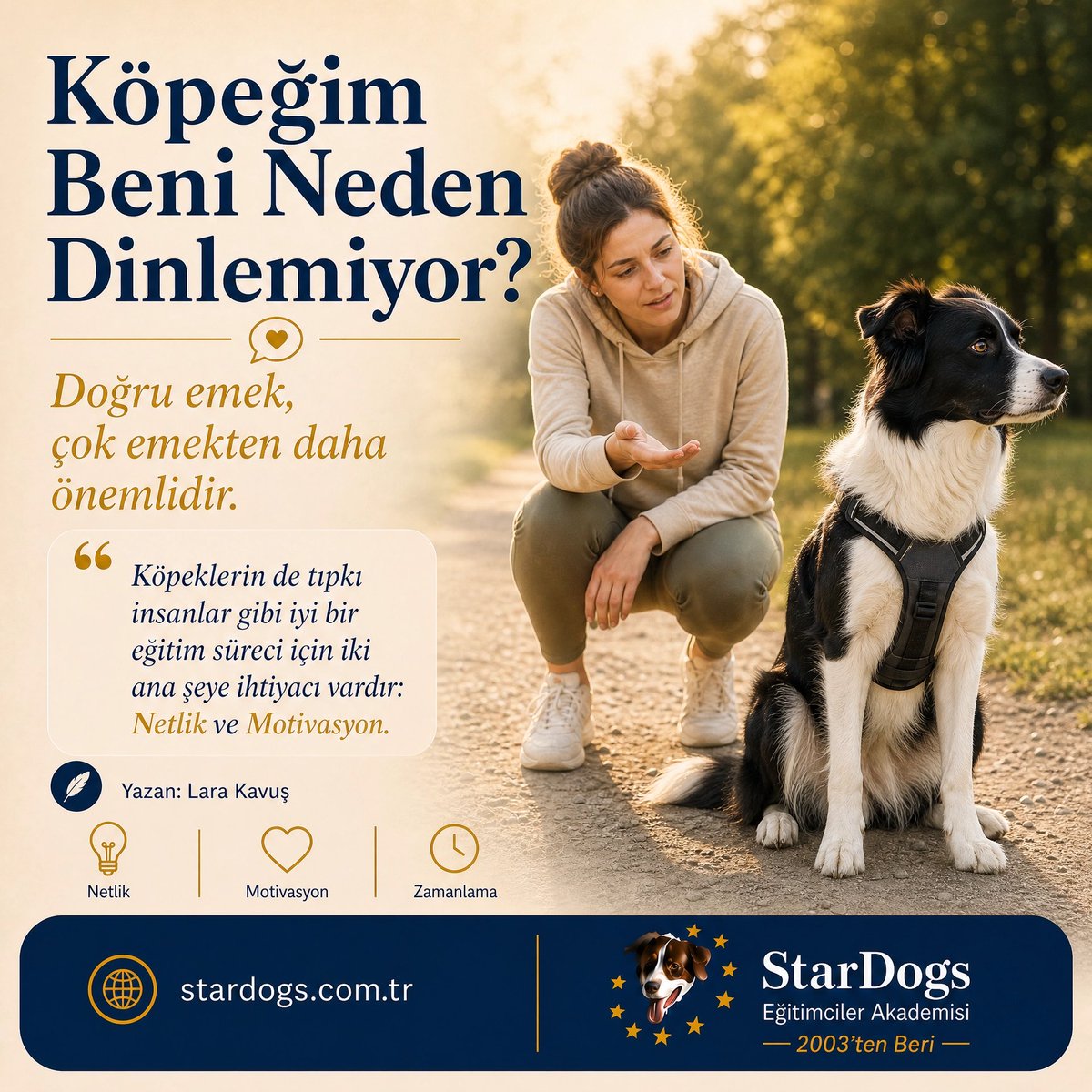 StarDogsTR tweet picture
