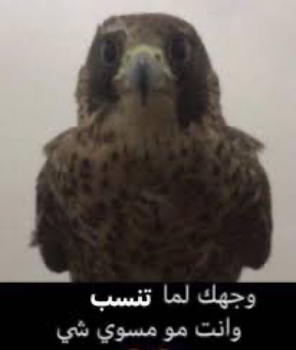 aal3eess's tweet photo. احنا والسعوديه https://t.co/Ly20tGqR12