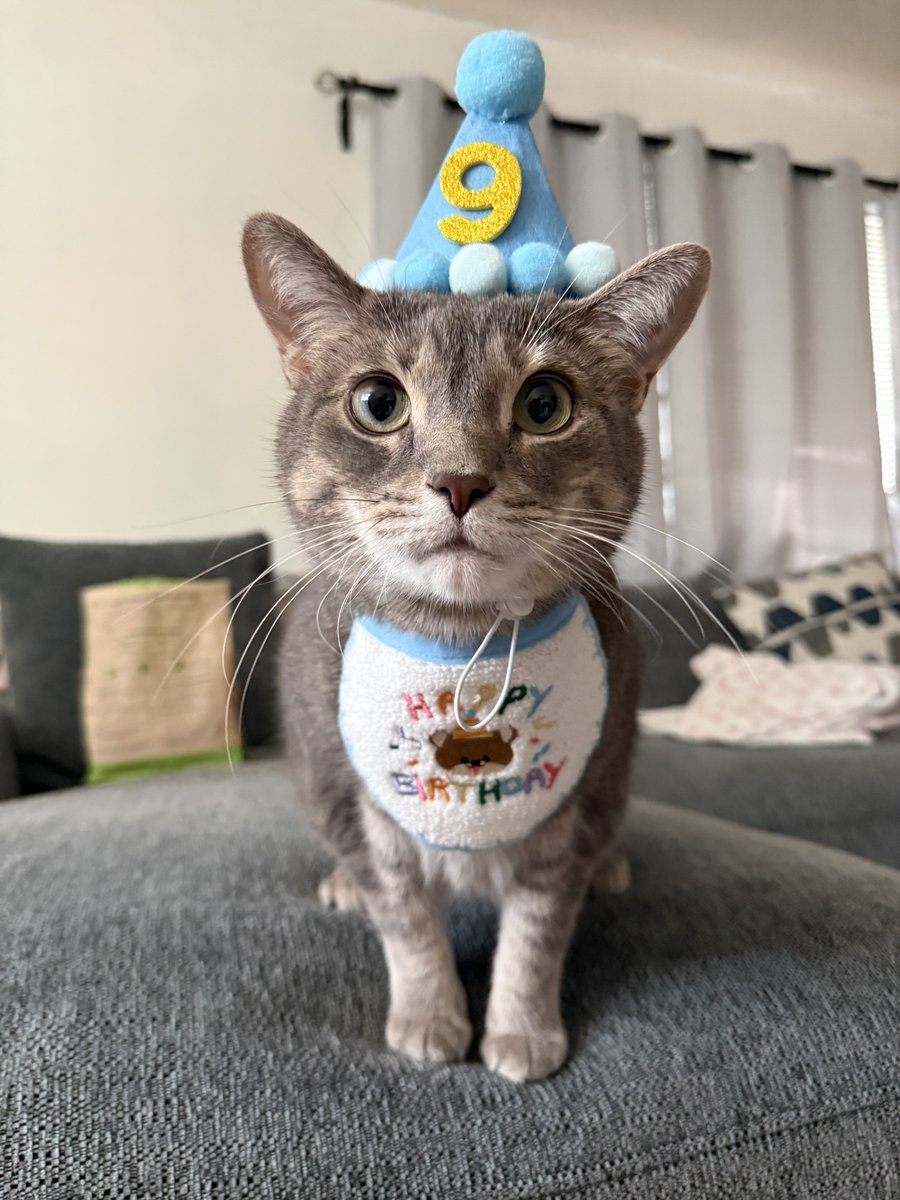 tymbxo's tweet photo. Happy birthday Moose 🩵 https://t.co/rqlvPKf14x