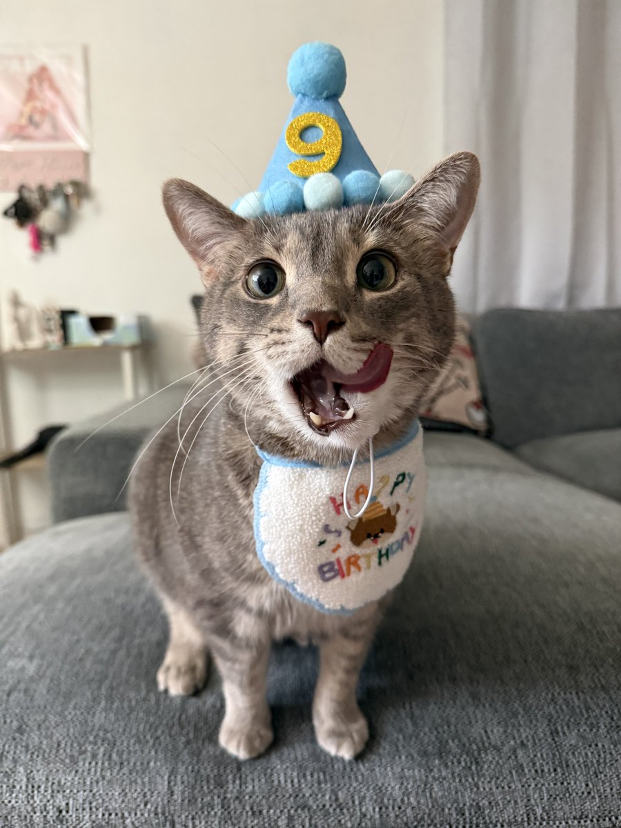tymbxo's tweet photo. Happy birthday Moose 🩵 https://t.co/rqlvPKf14x