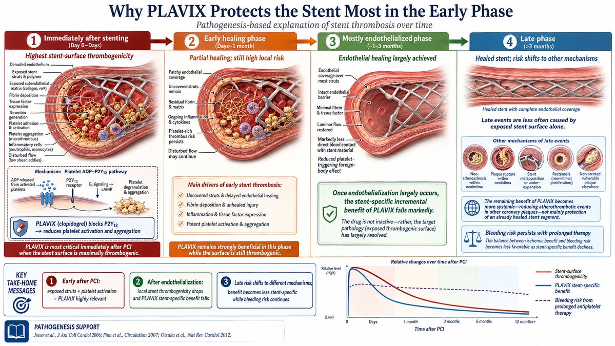 Ferhatarslandr's tweet photo. Bir kardiyolog bana stent sonrası yıllarca kan sulandırıcı kullanmanın mantığını anlatabilir mi? Birisi anlatsın rica ediyorum. Aşağıdaki grafiği ben yaptırdım yapay zekaya.
Nerede hatam var? Niye insanlar yıllarca kullanıyor bu ilaçları? https://t.co/7cq0YM66oV