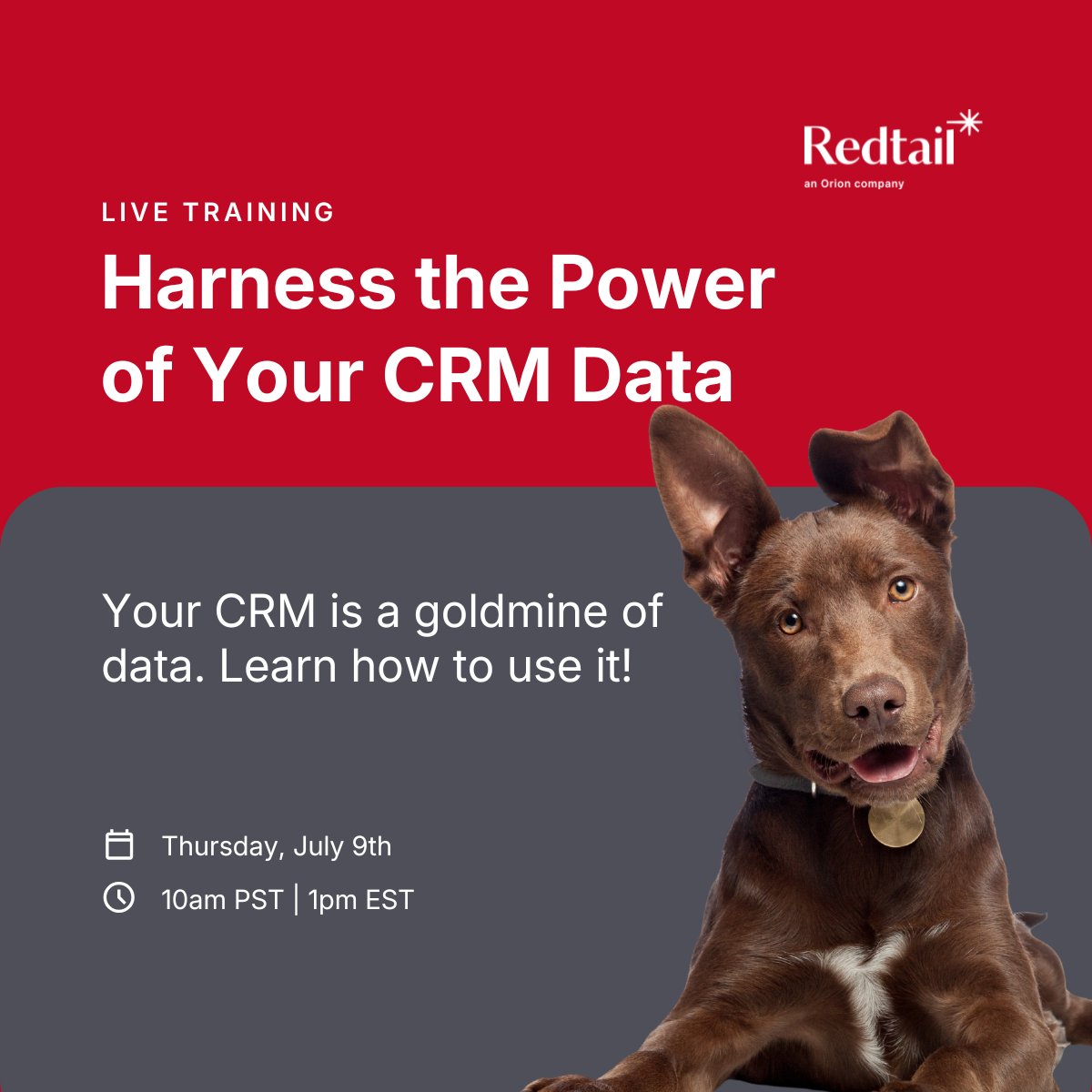 RedtailCRM's tweet photo. Your CRM is sitting on a goldmine of data. Are you actually using it? 💎 Tomorrow at 12pm CT we're showing you how to use Style Guide, Advanced Search, Reporting, and Accounts to turn everyday data into real results. Grab your seat! 👉 https://t.co/6IGNFj6S62 https://t.co/hNSTnpvgV7