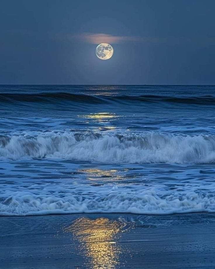 earth_moonw tweet picture
