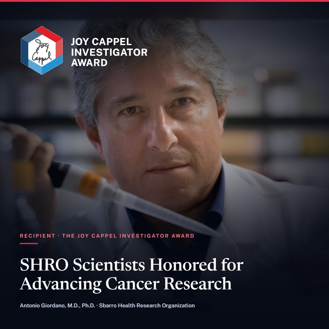 newswise's tweet photo. SHRO Scientists Earn Award to Study Precision Medicine Using CDKs
https://t.co/9eqNtP9yIh
@TempleUniv @sbarro_health @profgiordanoa @CST_TempleU @Rockland_Inc
#cancerresearch #cellbiology #CDKs #BiomedicalResearch #CellCycle https://t.co/7NvFhqpUoG