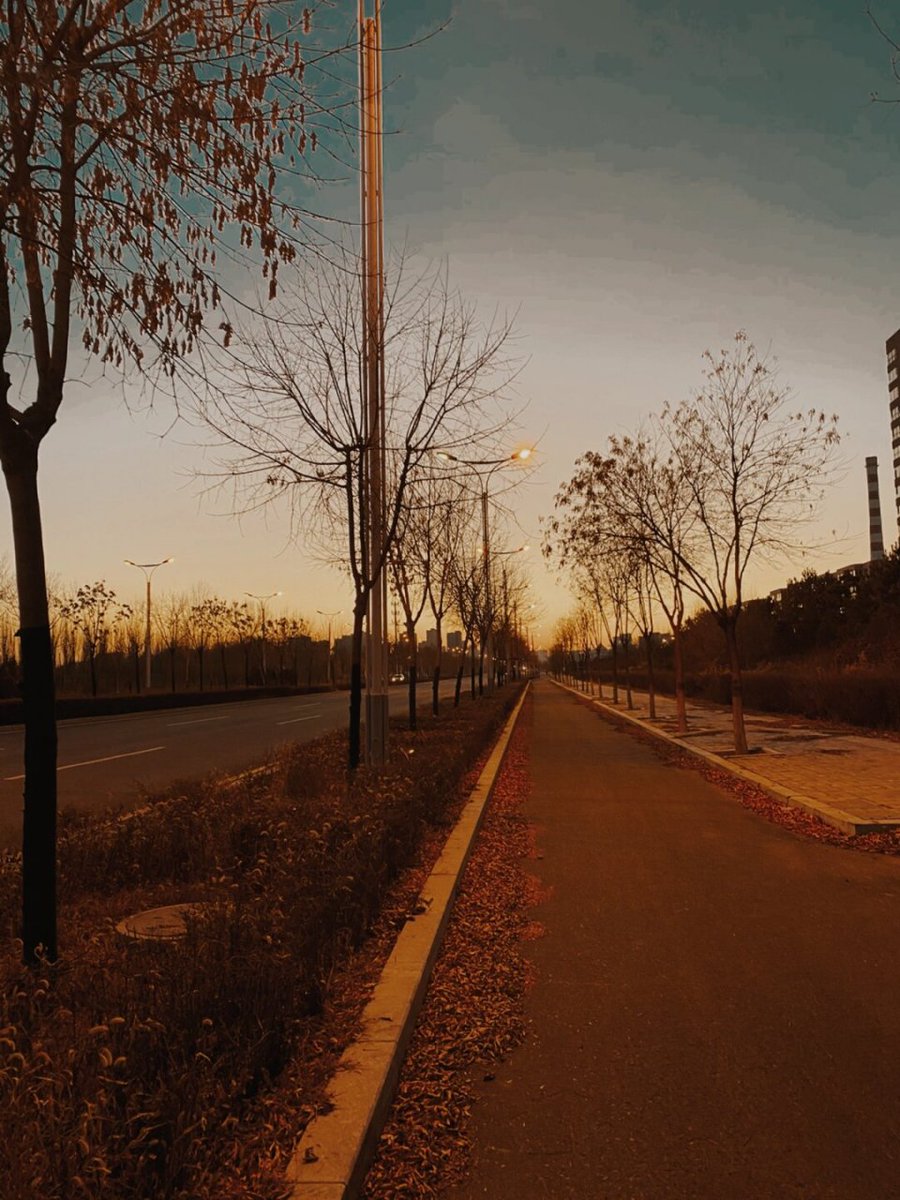 edonalfredo's tweet photo. City streets hit different at golden hour—random snapshots that tell the real story. https://t.co/Ci9VyRmxG8