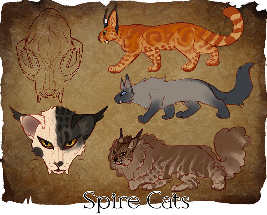 springpaw_'s tweet photo. The more finalized reference for Spire Cats, a self-domesticated cat species in the world of my next project! They're significantly bigger than irl kitties, but share many of the same traits with a few key differences.
#FantasyCreatures #WorldBuilding #worldbuildingwednesday https://t.co/fDKN6jblE2