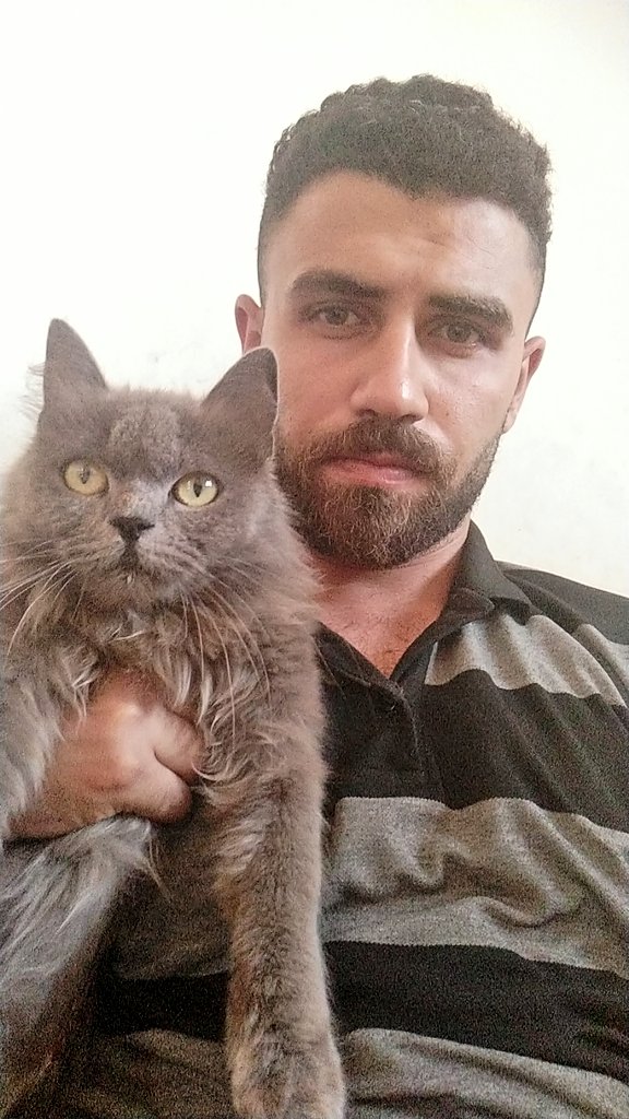 yousefmohmoud25's tweet photo. We are still here, alive 🐈‍⬛🥺🇵🇸 https://t.co/MLLciHgRzA