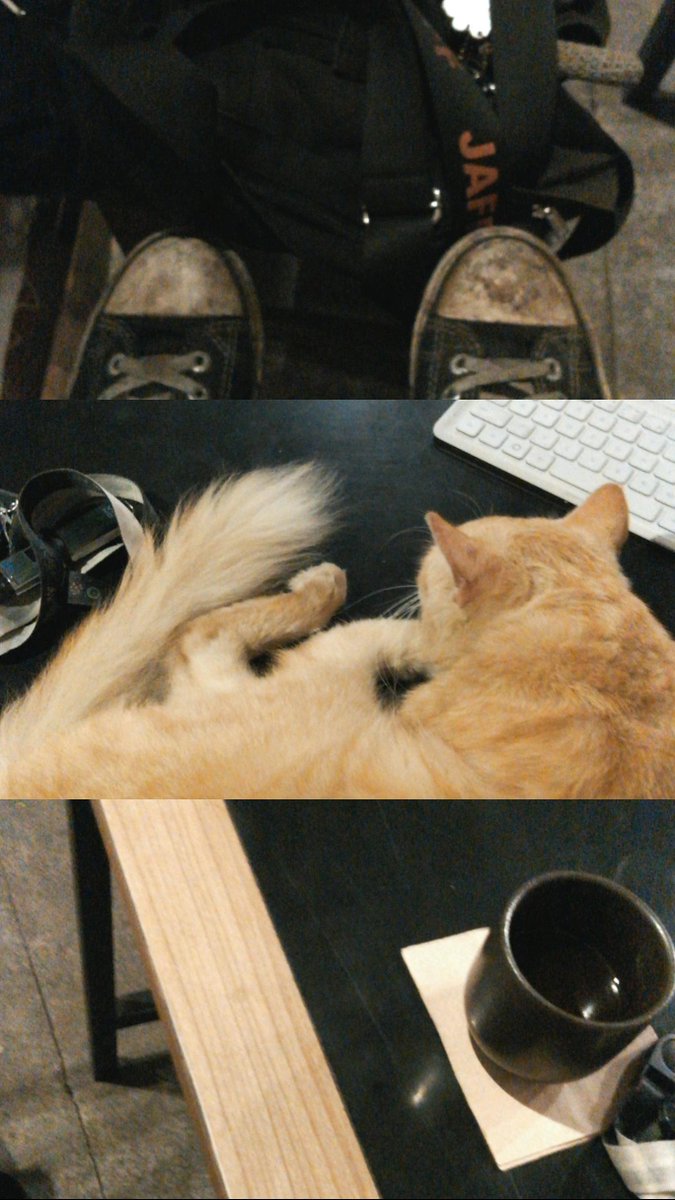 CocoCoxon's tweet photo. Kopi-slowbar-reno(kucing) https://t.co/aMVgmEVuGJ