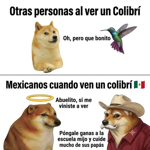 PeppermintSour2's tweet photo. mi colibrí: ponte berghas y no te quieras adelantar, o te enviamos otro perrito para que lo cuides. https://t.co/ycPXW4KI4R