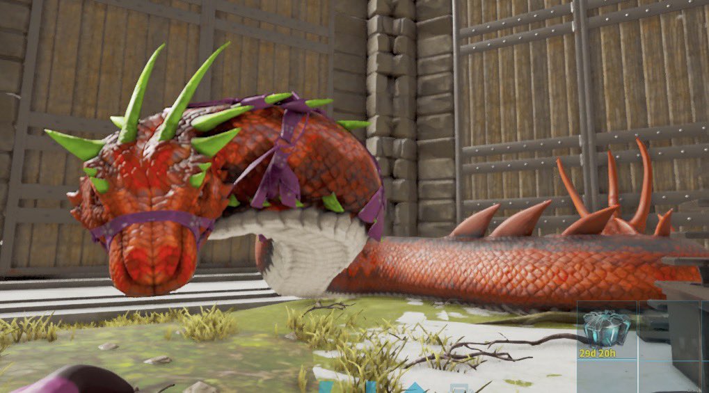 tsuru0408's tweet photo. #ARKモバイル2
今回のイベでテイムした生物、恐竜達を貼ります🦖
やりすぎて2回分ポストꉂ🤣𐤔 https://t.co/eCfPqOxV5i